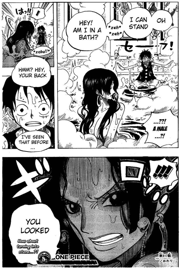 One Piece chapter 517 page 19