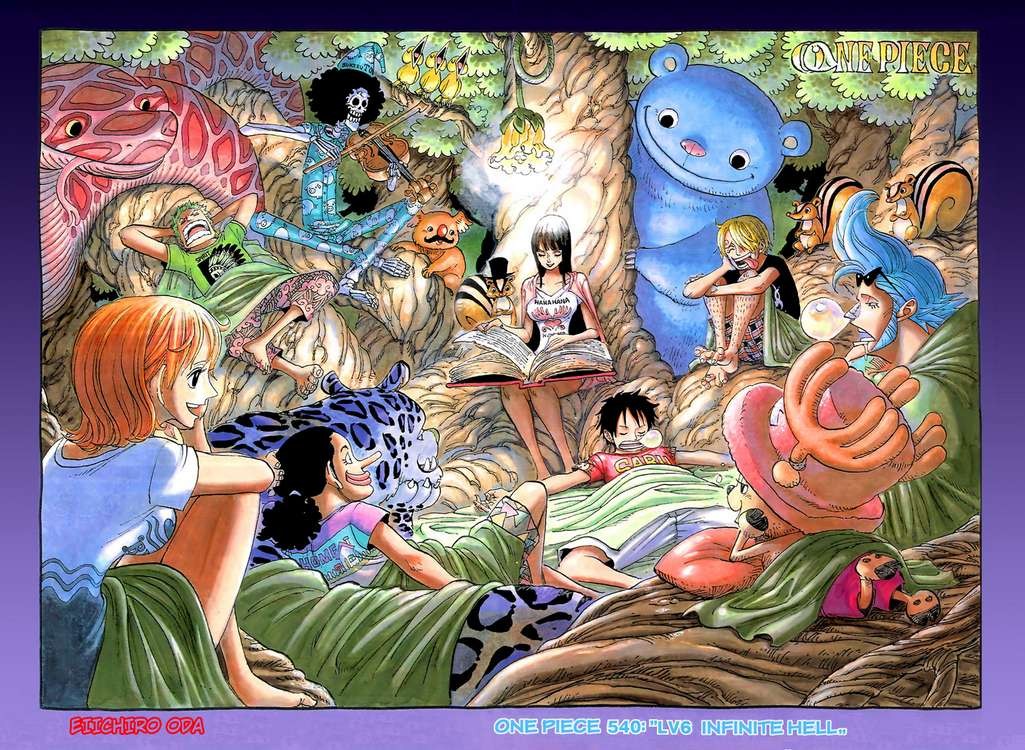 One Piece chapter 540 page 2
