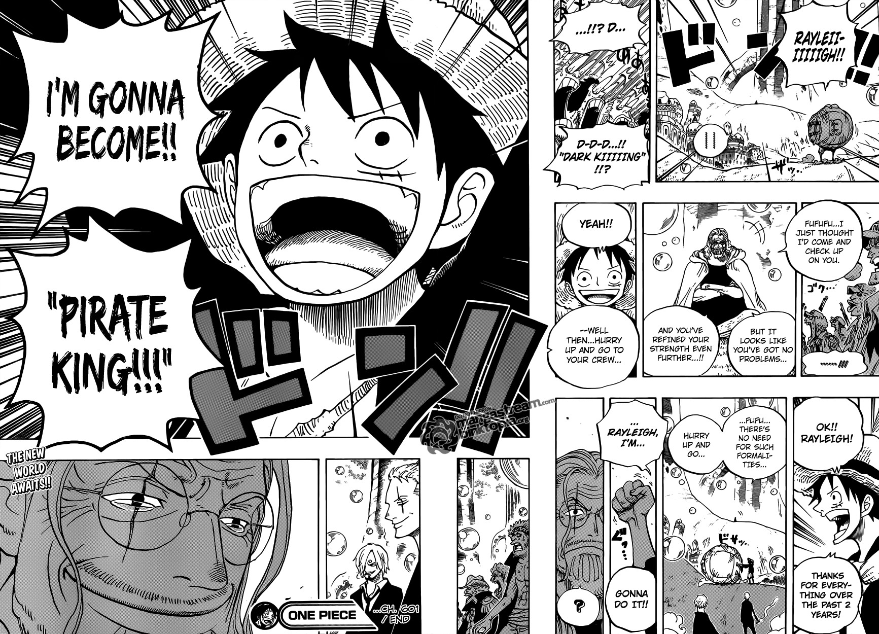 One Piece chapter 601 page 15