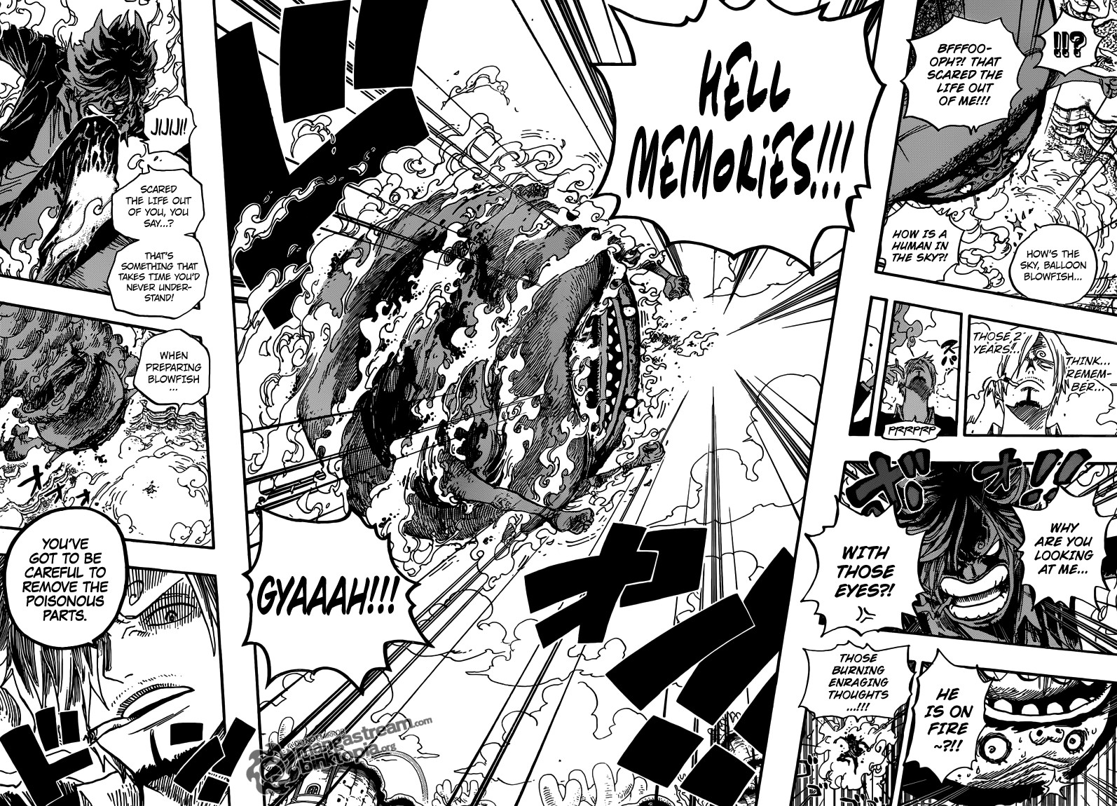One Piece chapter 646 page 12