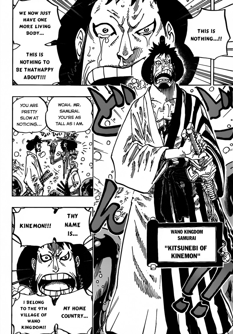 One Piece chapter 672 page 14