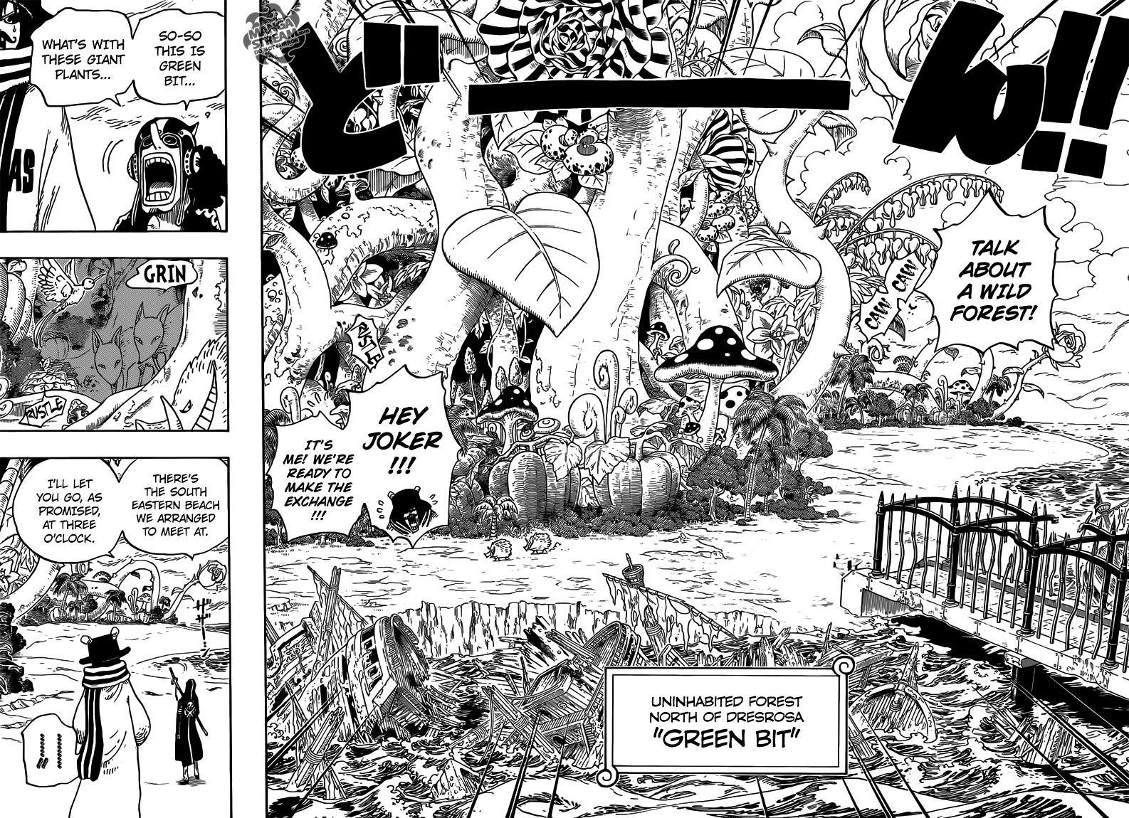 One Piece chapter 710 page 14