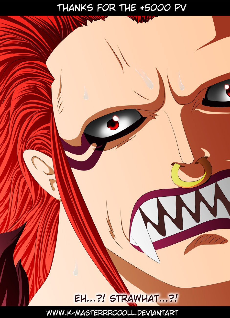 One Piece chapter 716 page 4