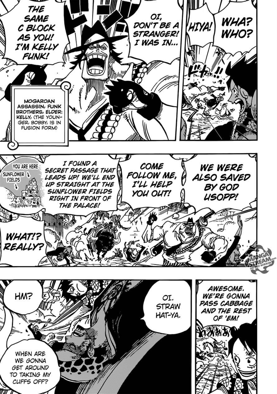 One Piece chapter 751 page 13