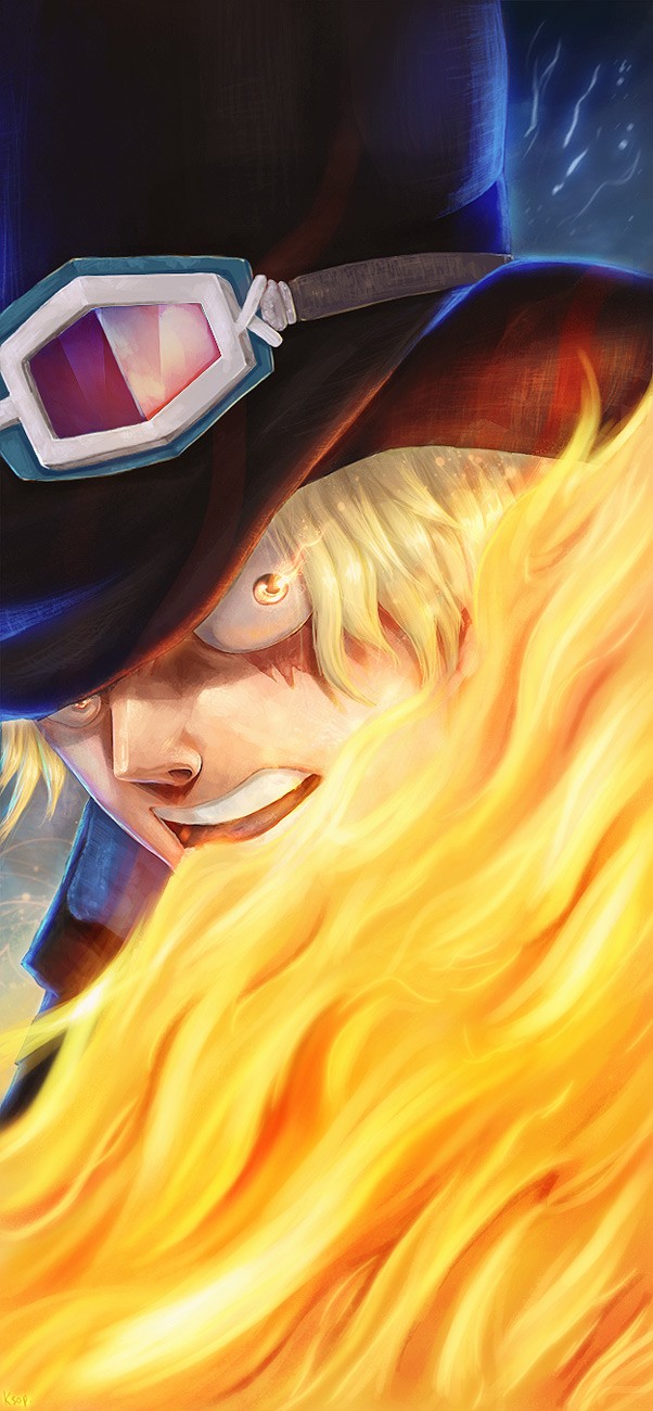 One Piece chapter 794 page 3