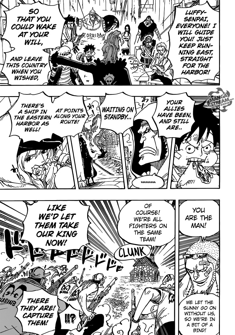 One Piece chapter 796 page 19