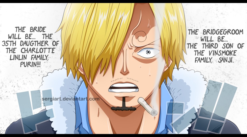 One Piece chapter 813 page 4