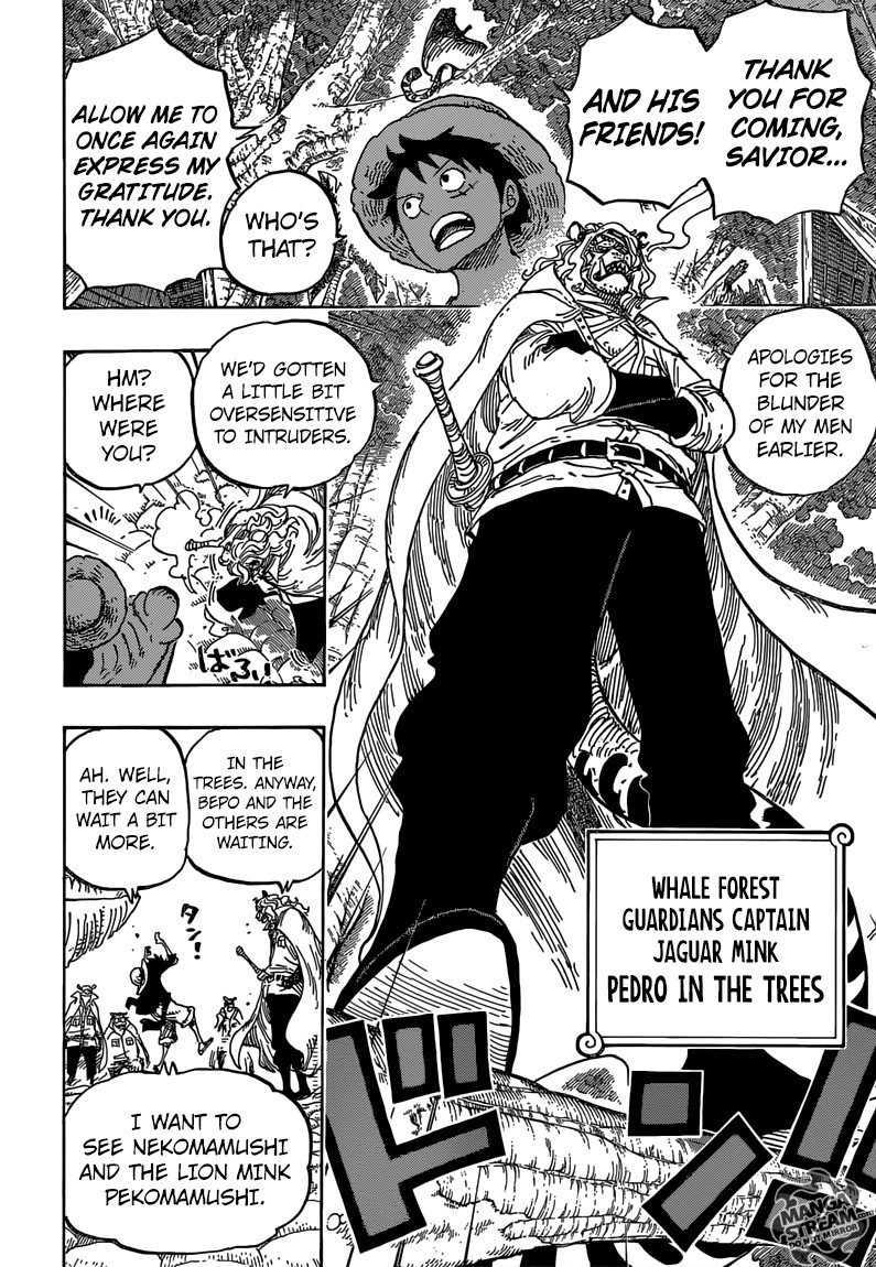 One Piece chapter 814 page 14