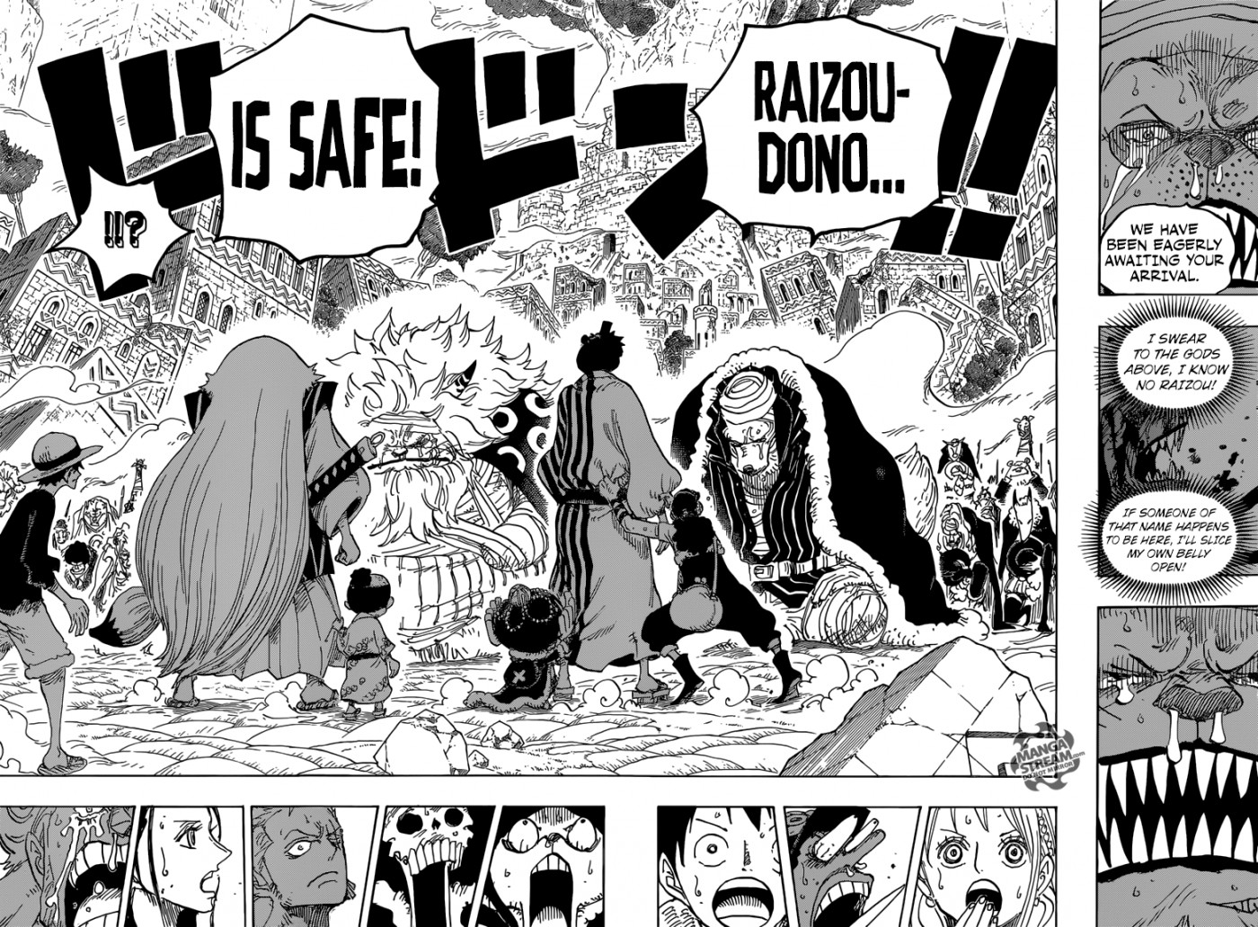 One Piece chapter 816 page 17