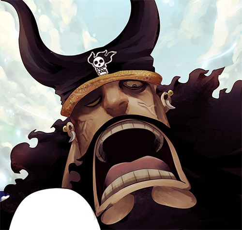 One Piece chapter 816 page 21