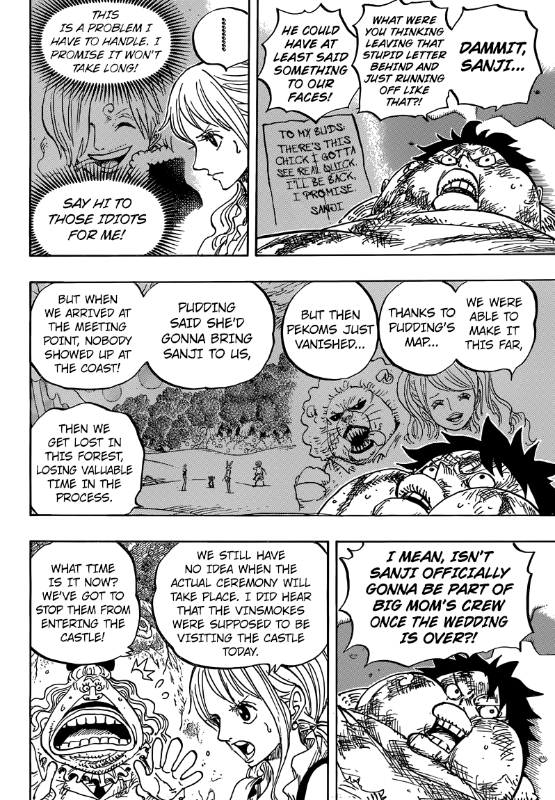 One Piece chapter 843 page 11