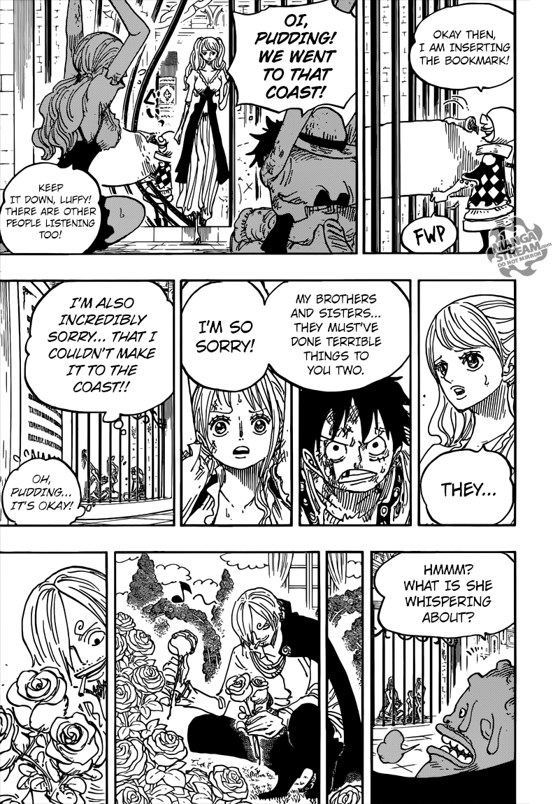 One Piece chapter 848 page 17