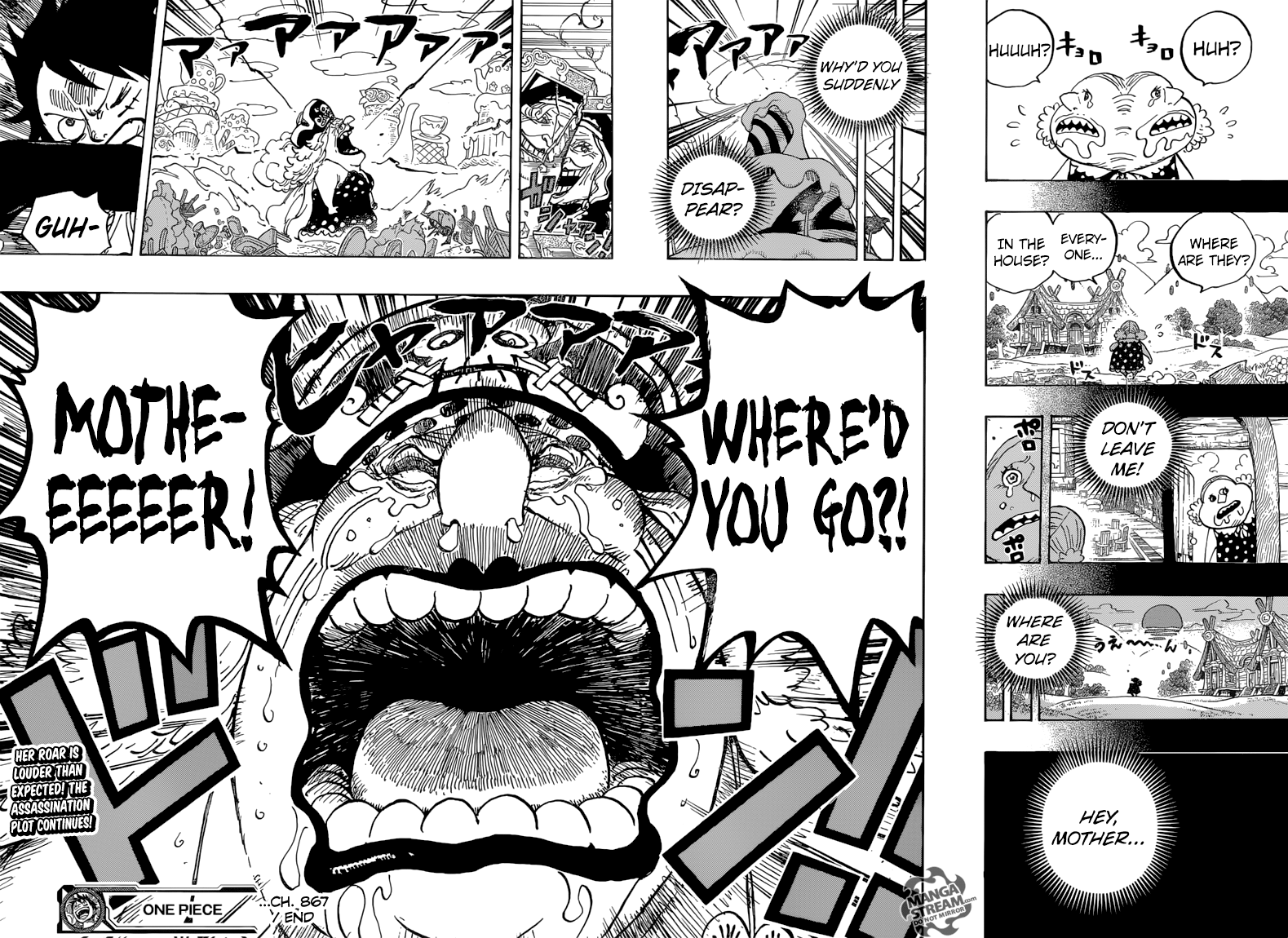One Piece chapter 867 page 17