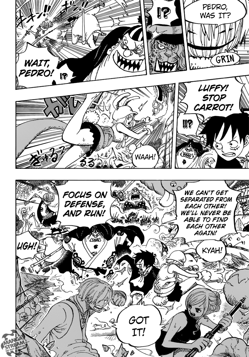 One Piece chapter 875 page 13