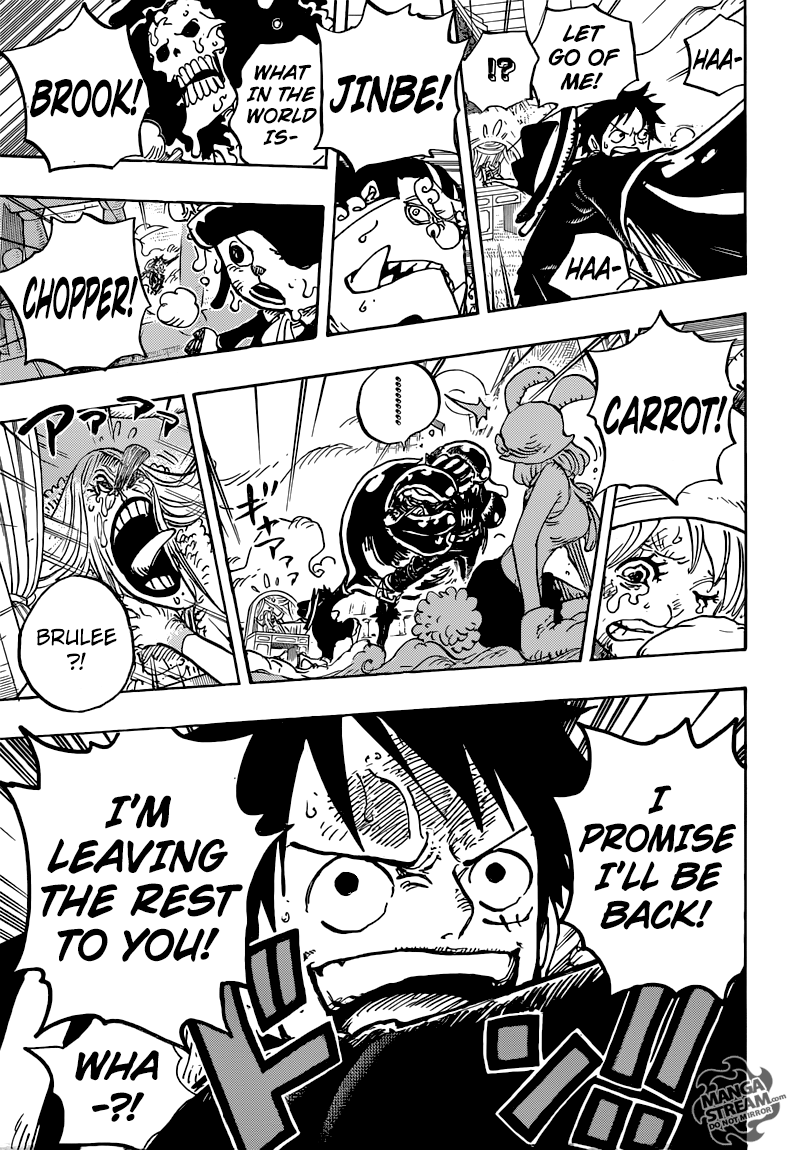 One Piece chapter 878 page 17