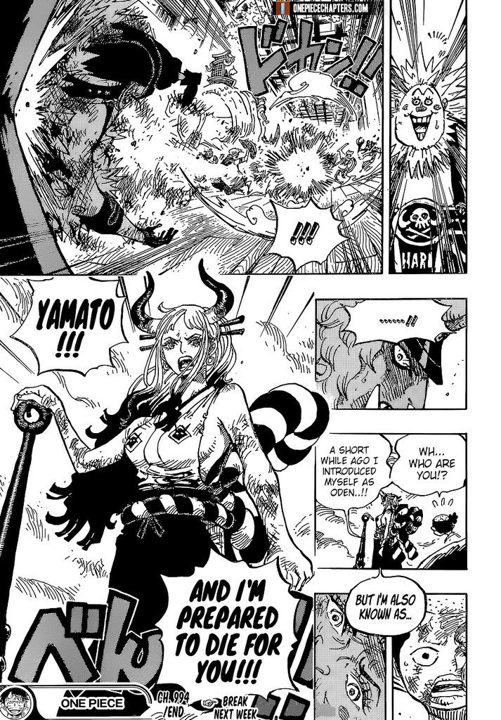 One Piece chapter 994 page 18