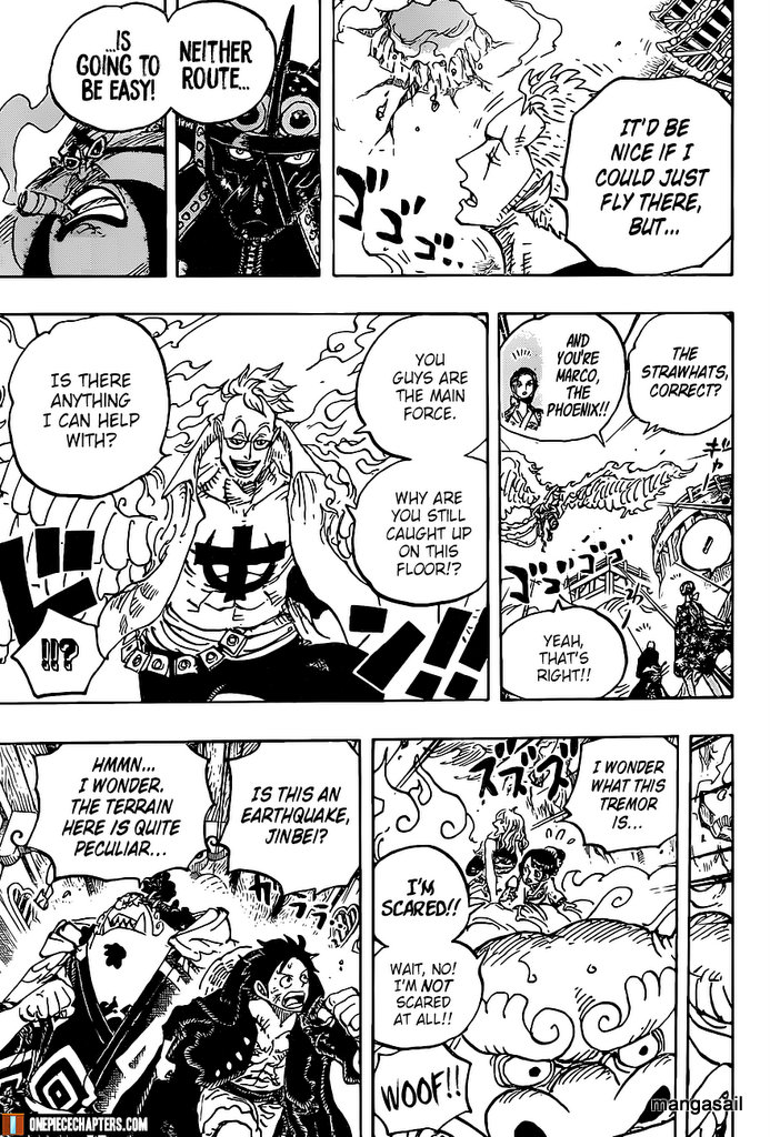 One Piece chapter 997 page 14
