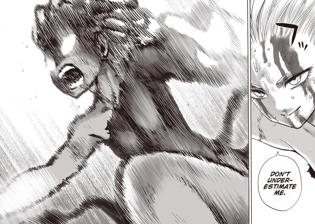 One-Punch Man chapter 137 page 22