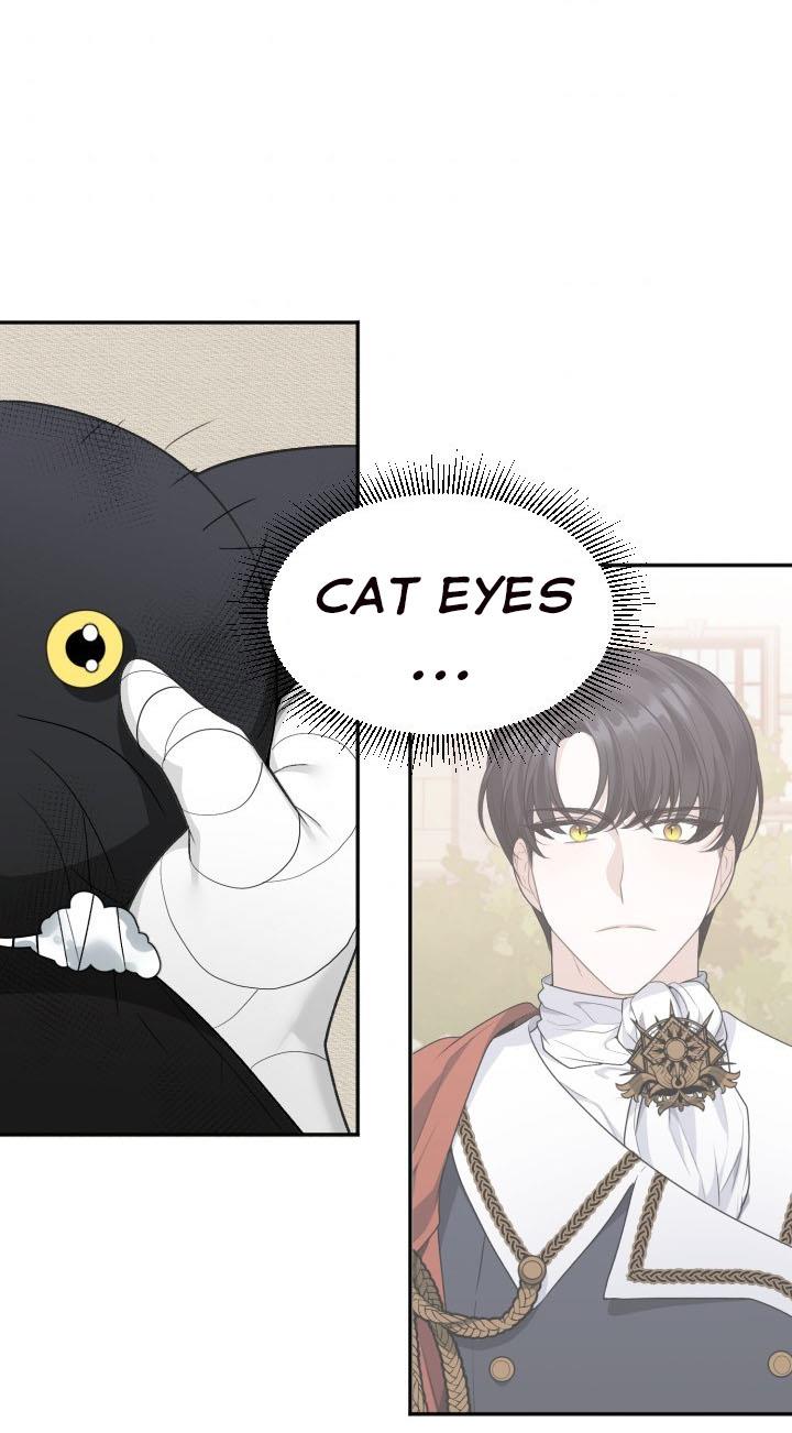 One Step Forward To The Flower Path chapter 4 page 56