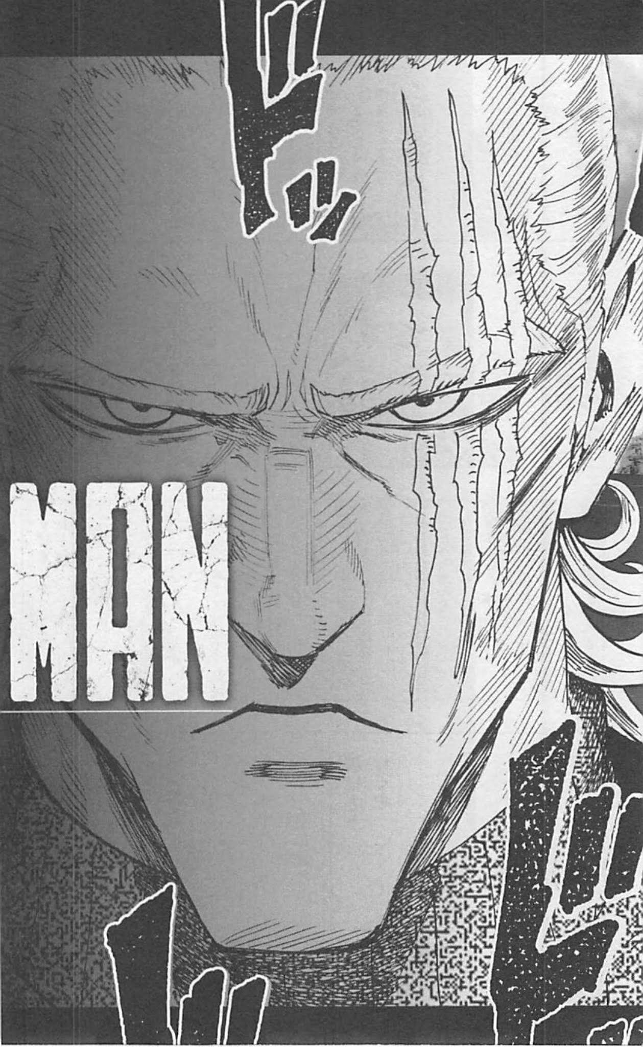 Onepunch-Man chapter 37.3 page 33