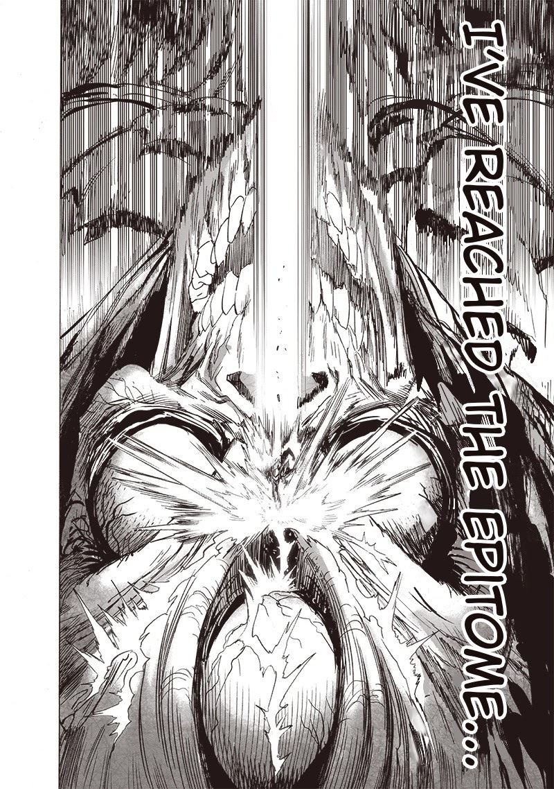 Onepunch-Man chapter 159 page 17