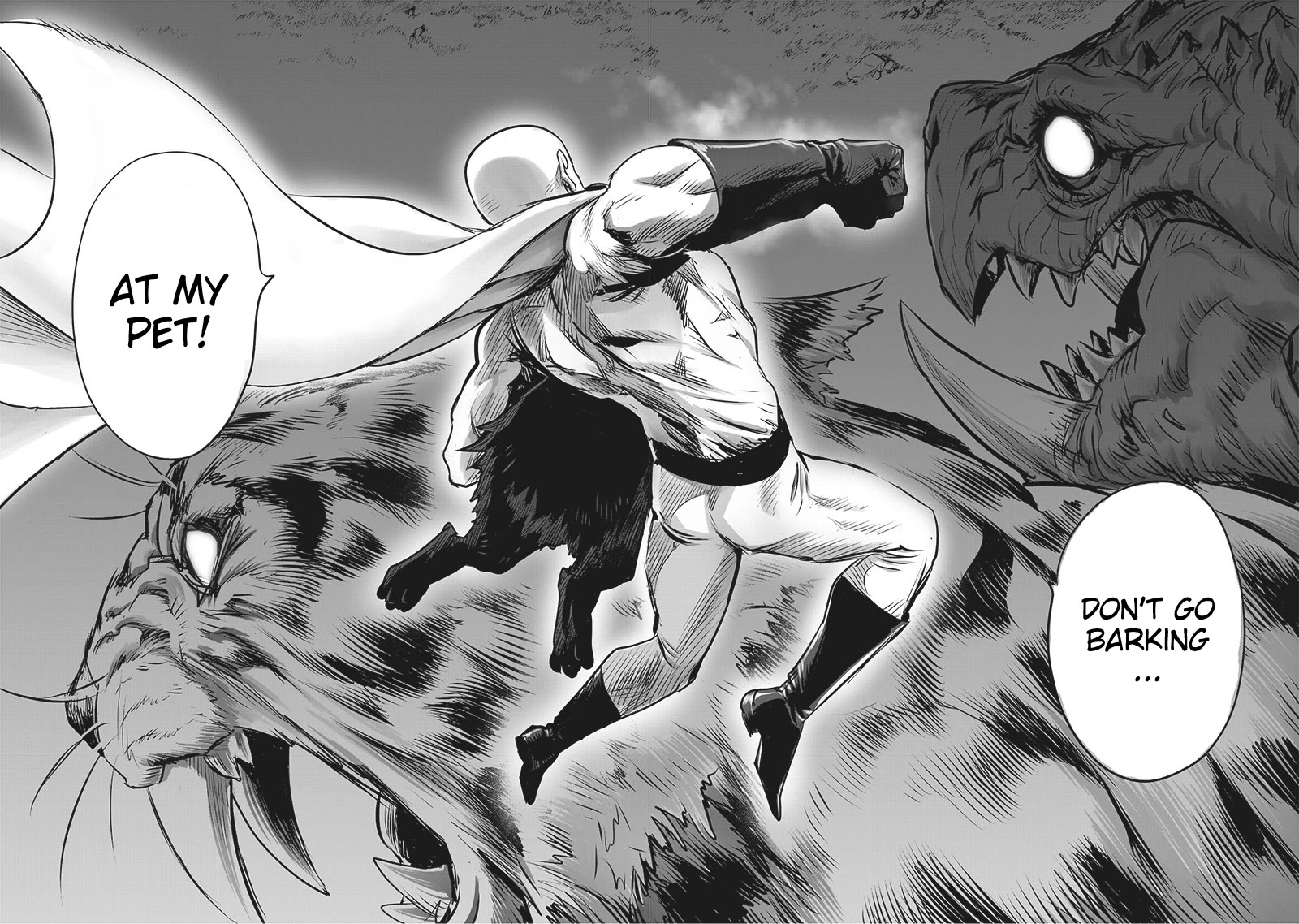 Onepunch-Man chapter 202 page 5