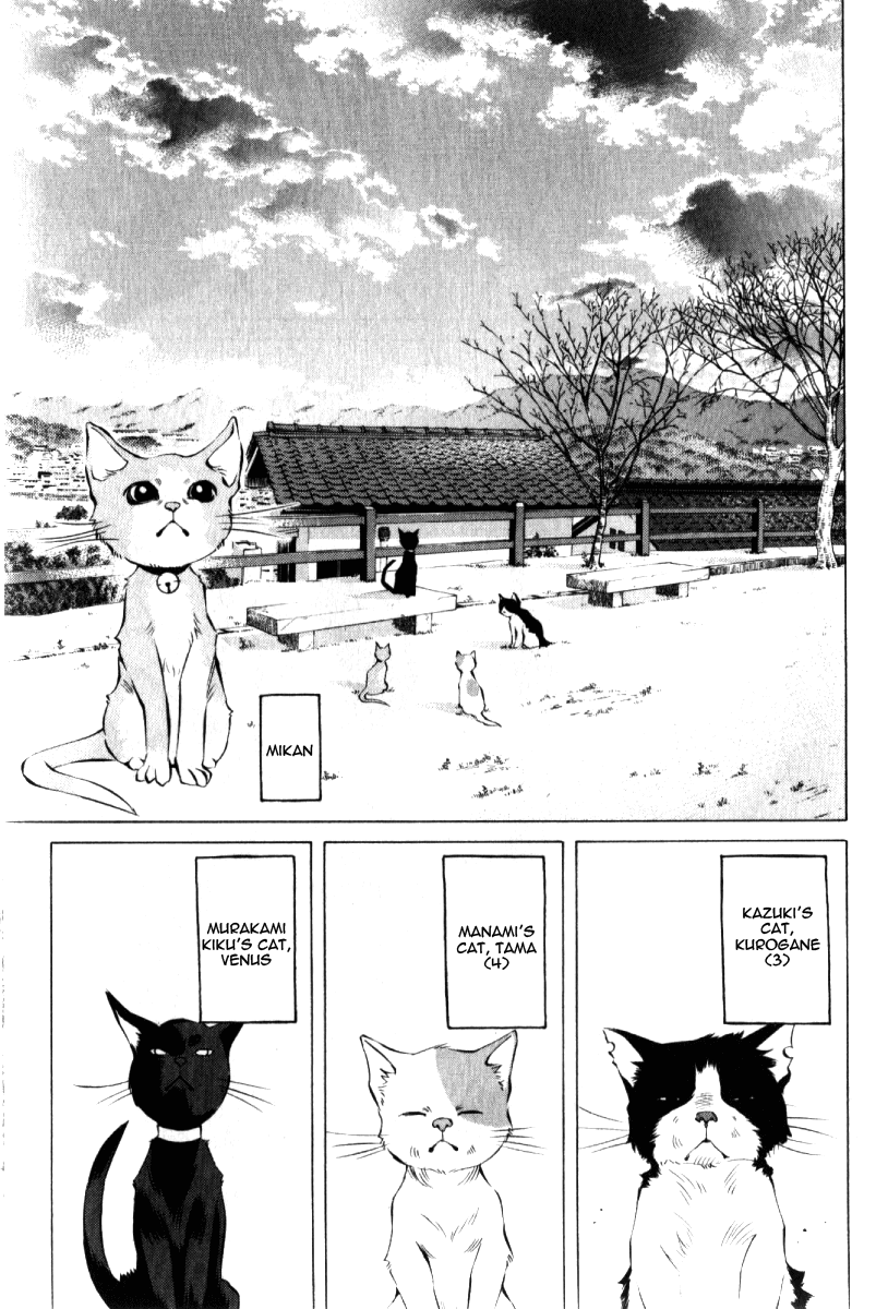 Pastel chapter 123.5 page 12