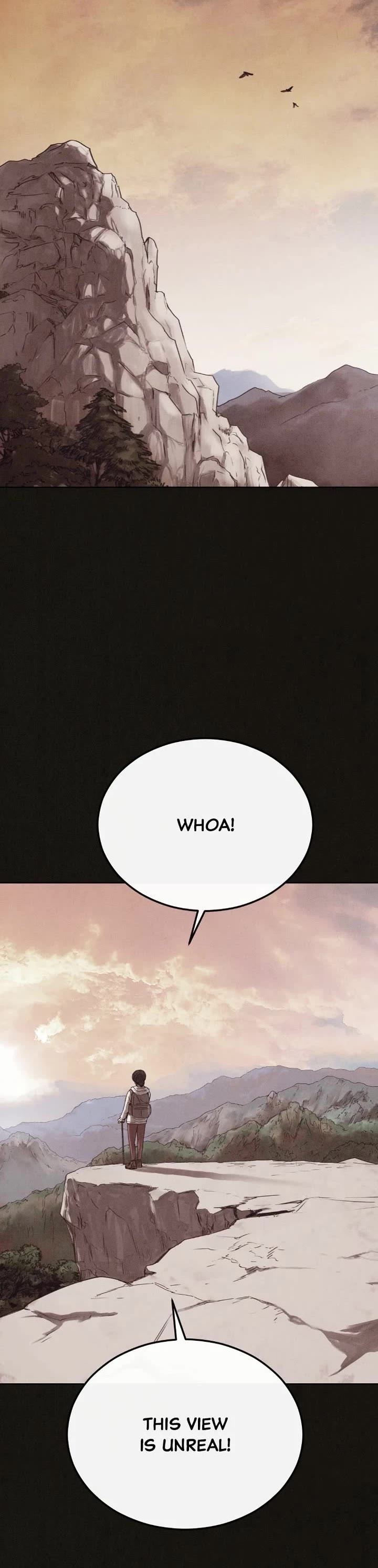 Plagiarism Suspicion chapter 8 page 45