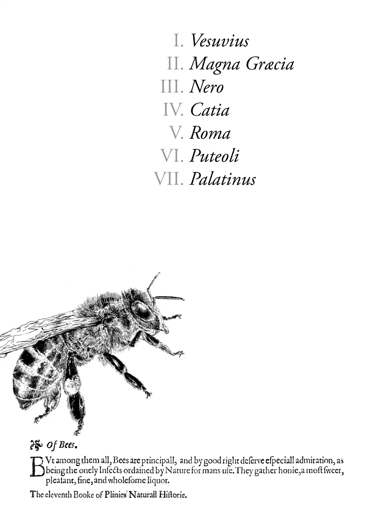 Plinivs chapter 1 page 3