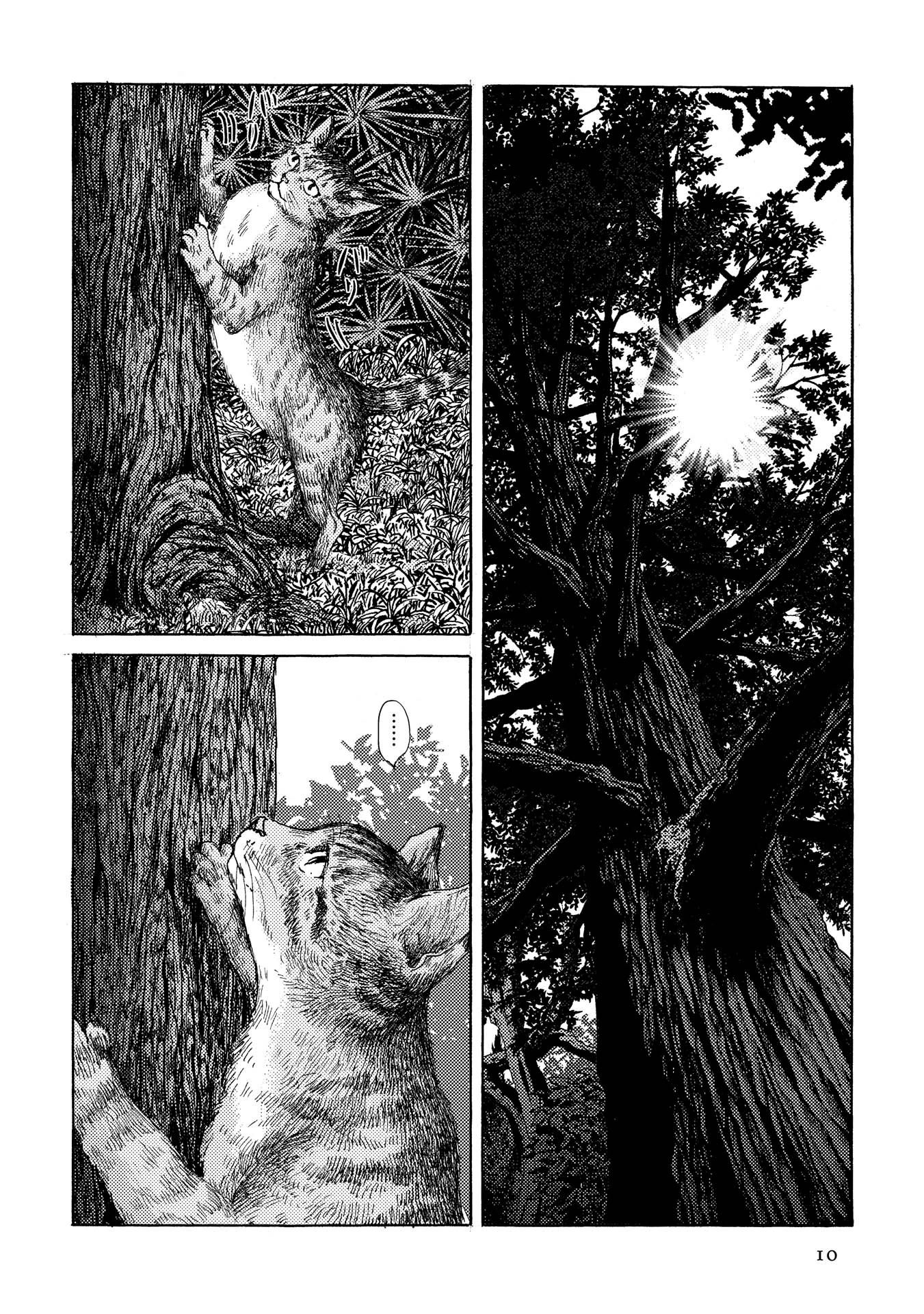 Plinivs chapter 15 page 10