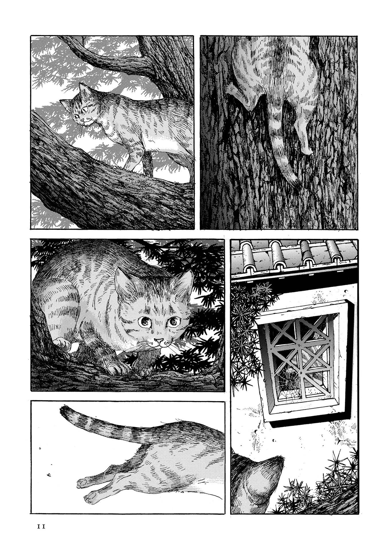 Plinivs chapter 15 page 11