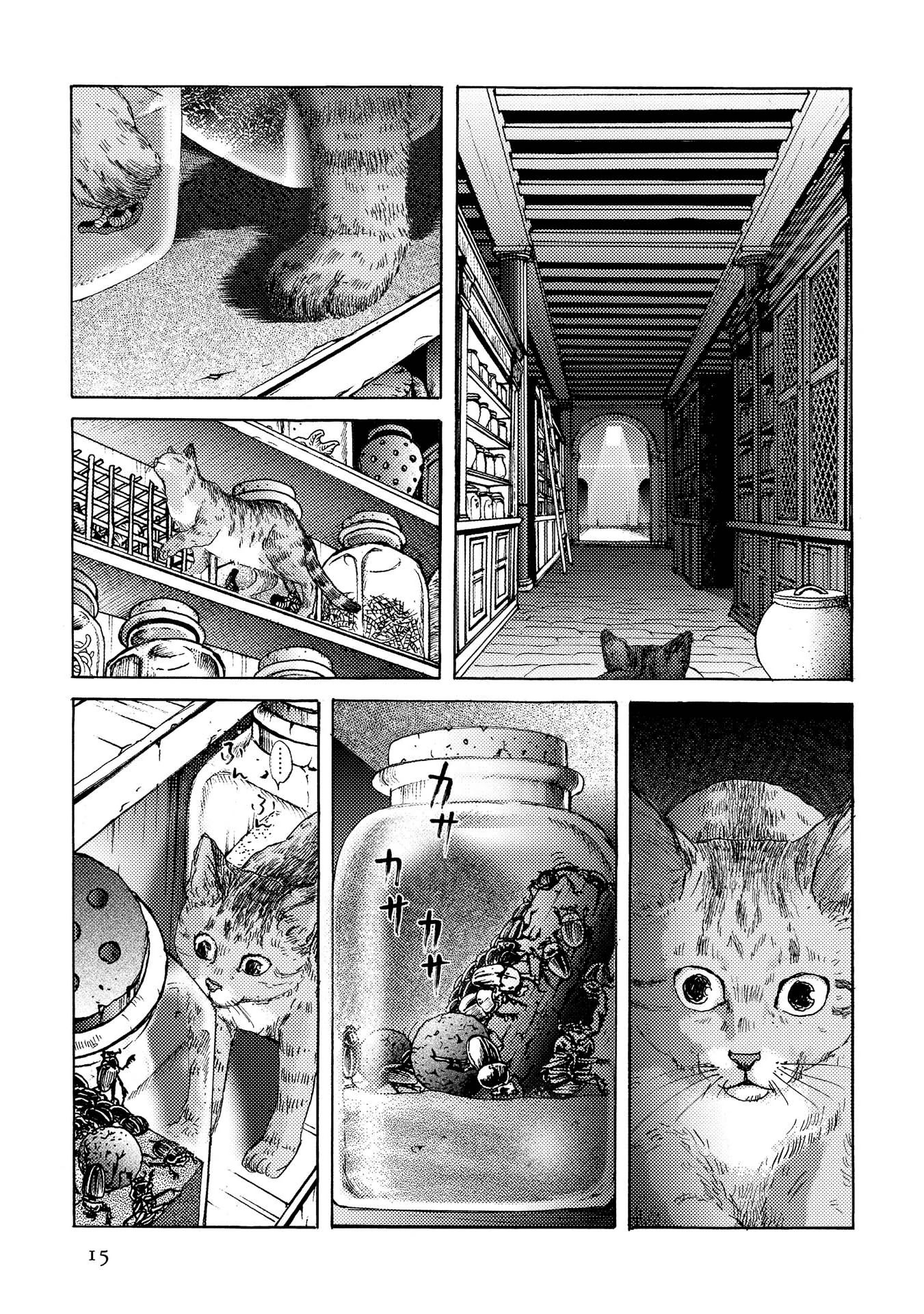 Plinivs chapter 15 page 15