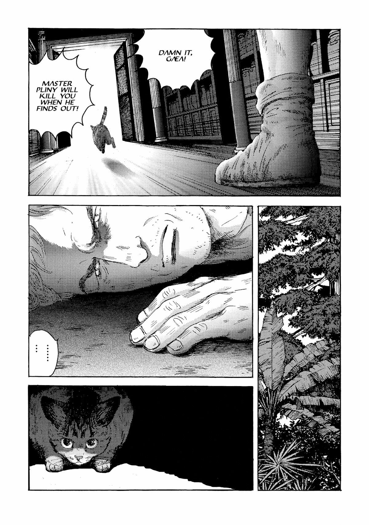 Plinivs chapter 15 page 17