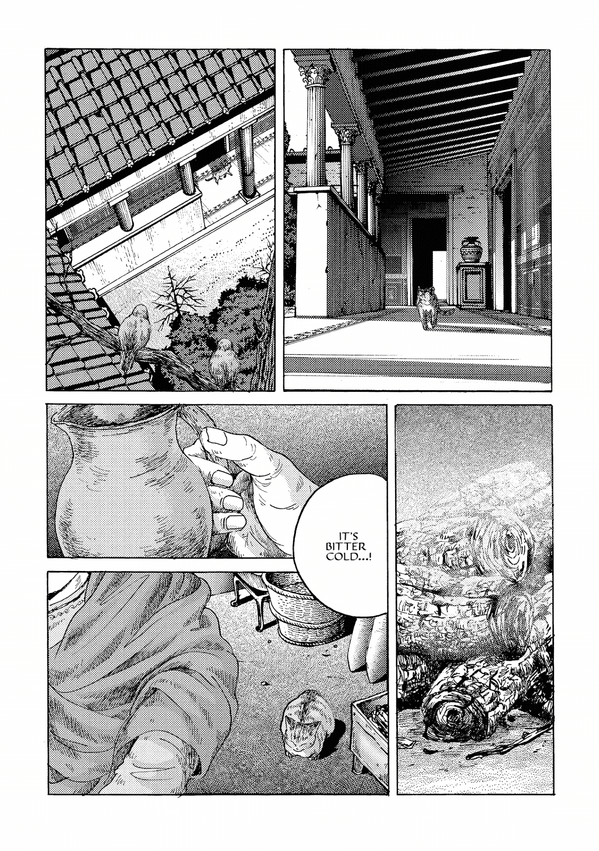 Plinivs chapter 15 page 7