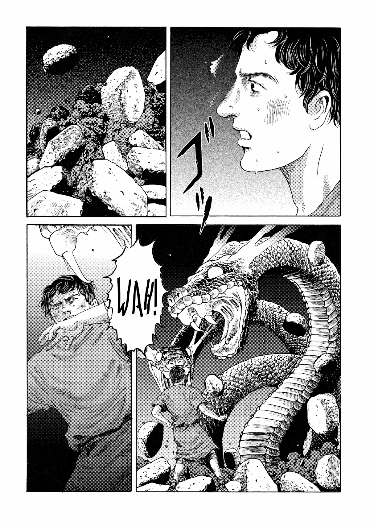 Plinivs chapter 17 page 3