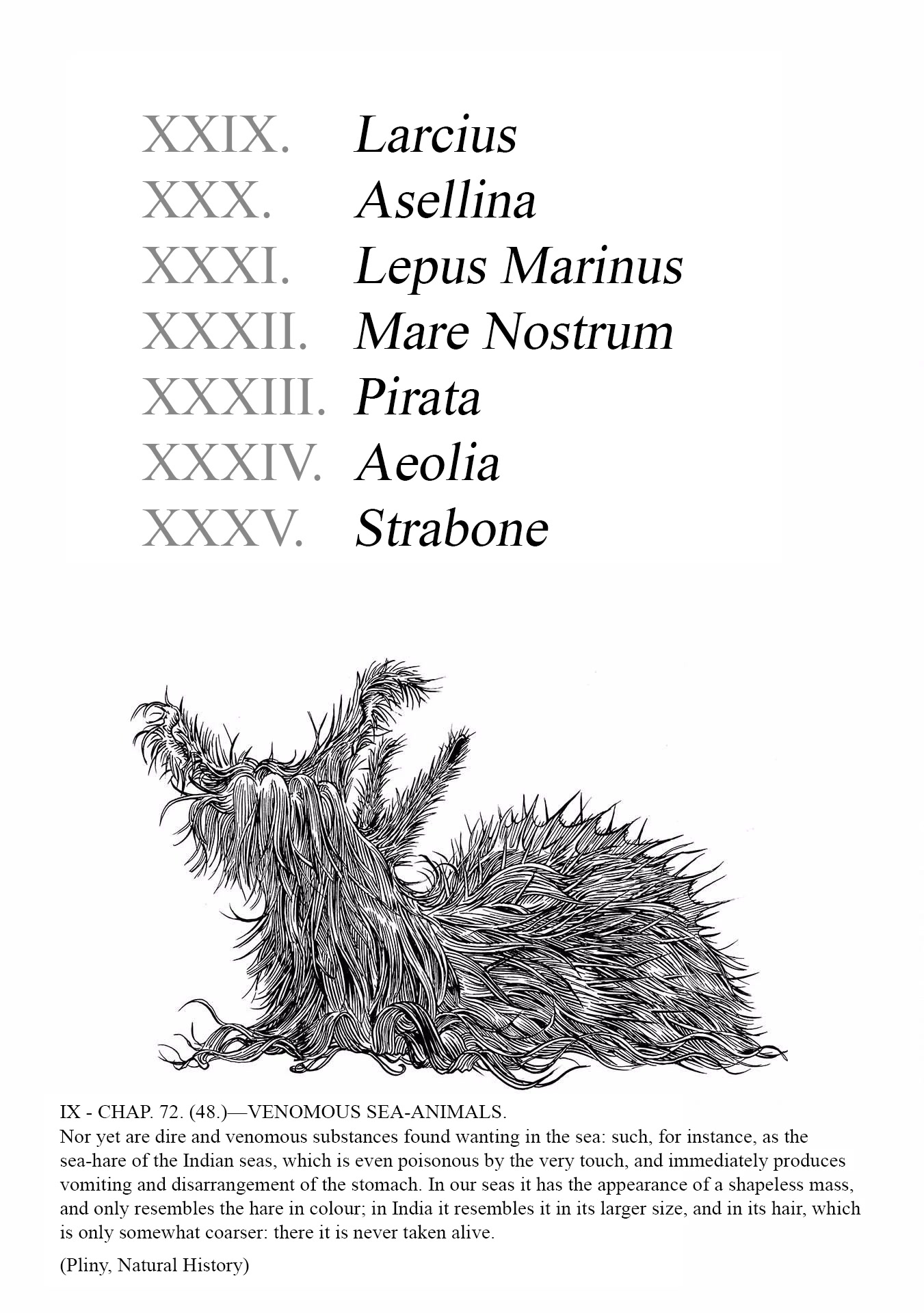 Plinivs chapter 29 page 4