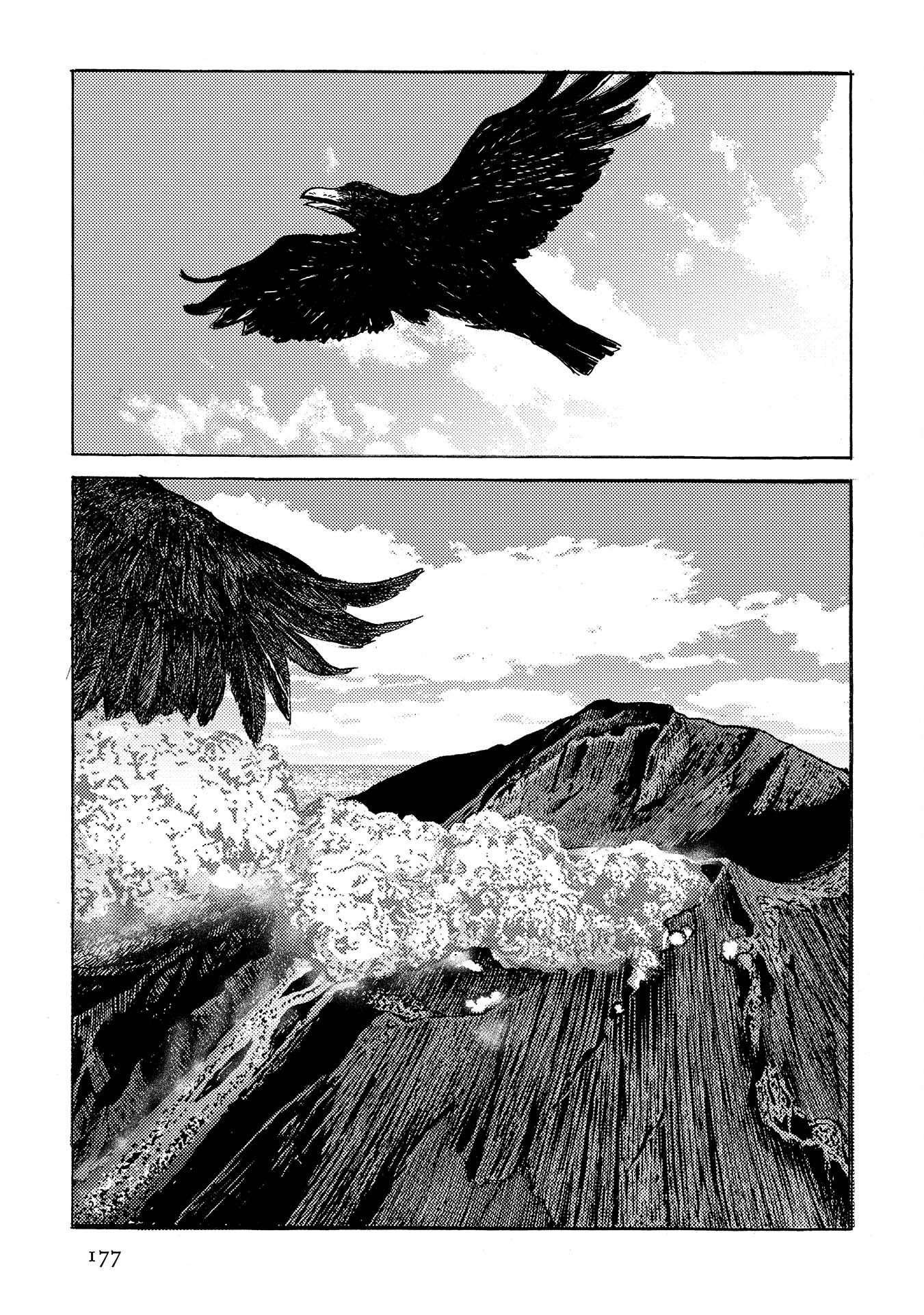 Plinivs chapter 35 page 17