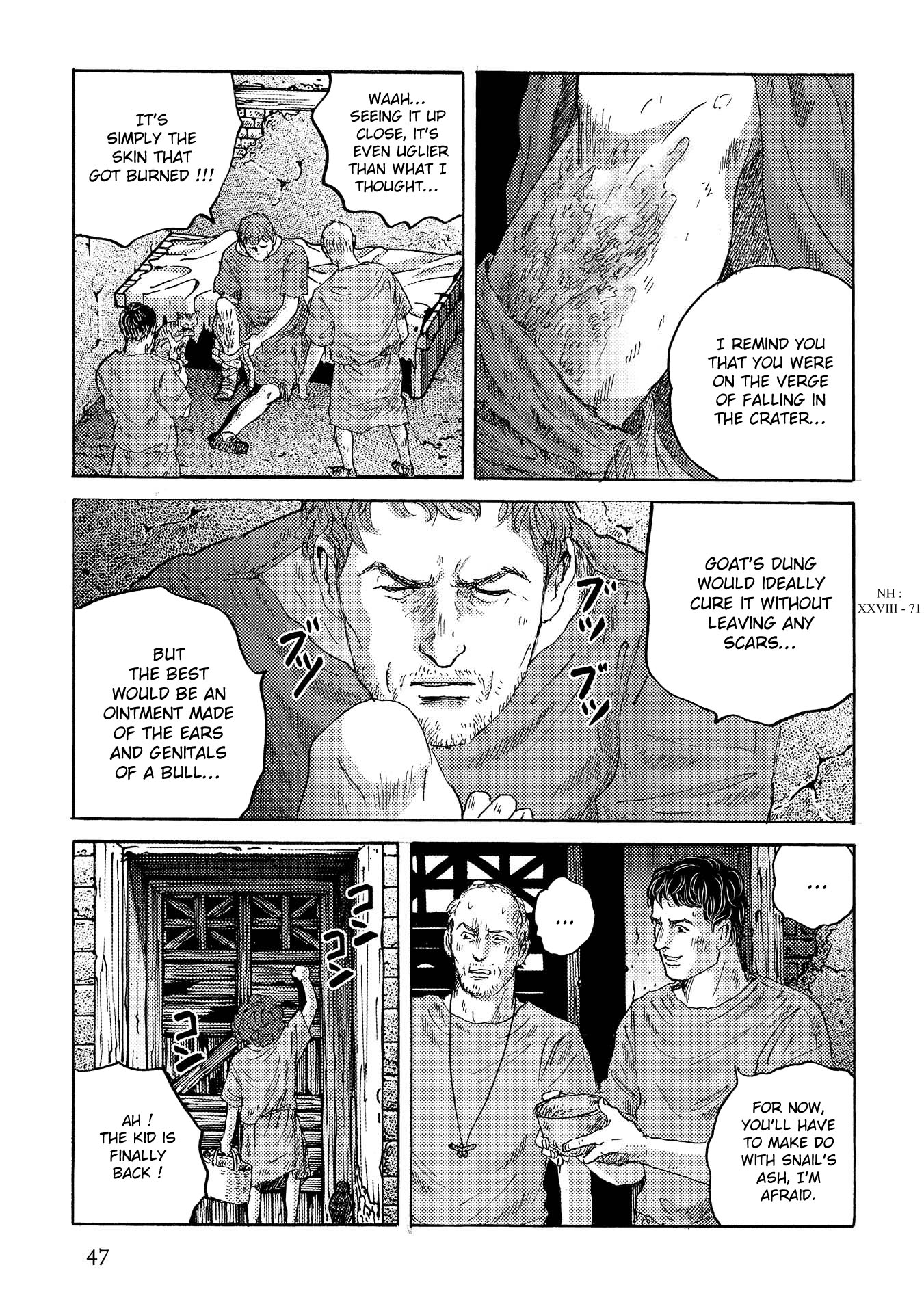 Plinivs chapter 37 page 19