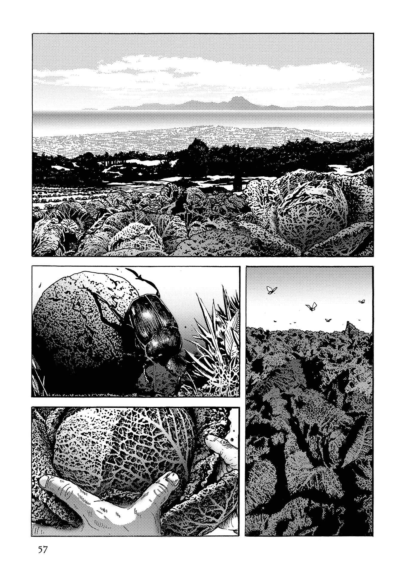 Plinivs chapter 38 page 3