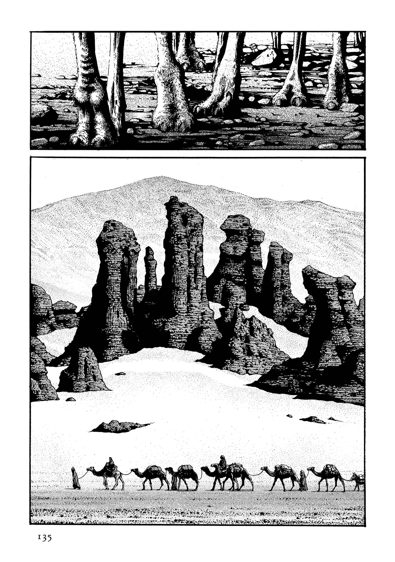 Plinivs chapter 41 page 3