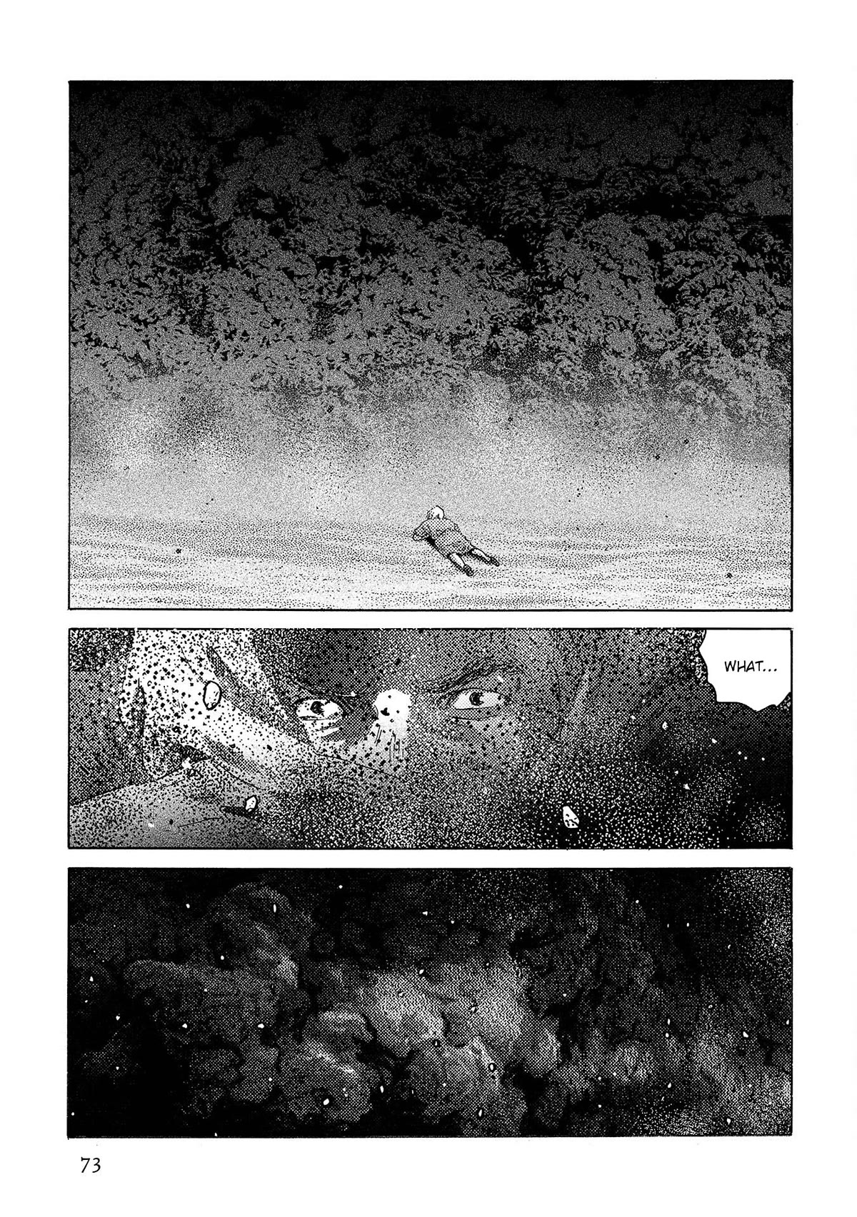 Plinivs chapter 45 page 14