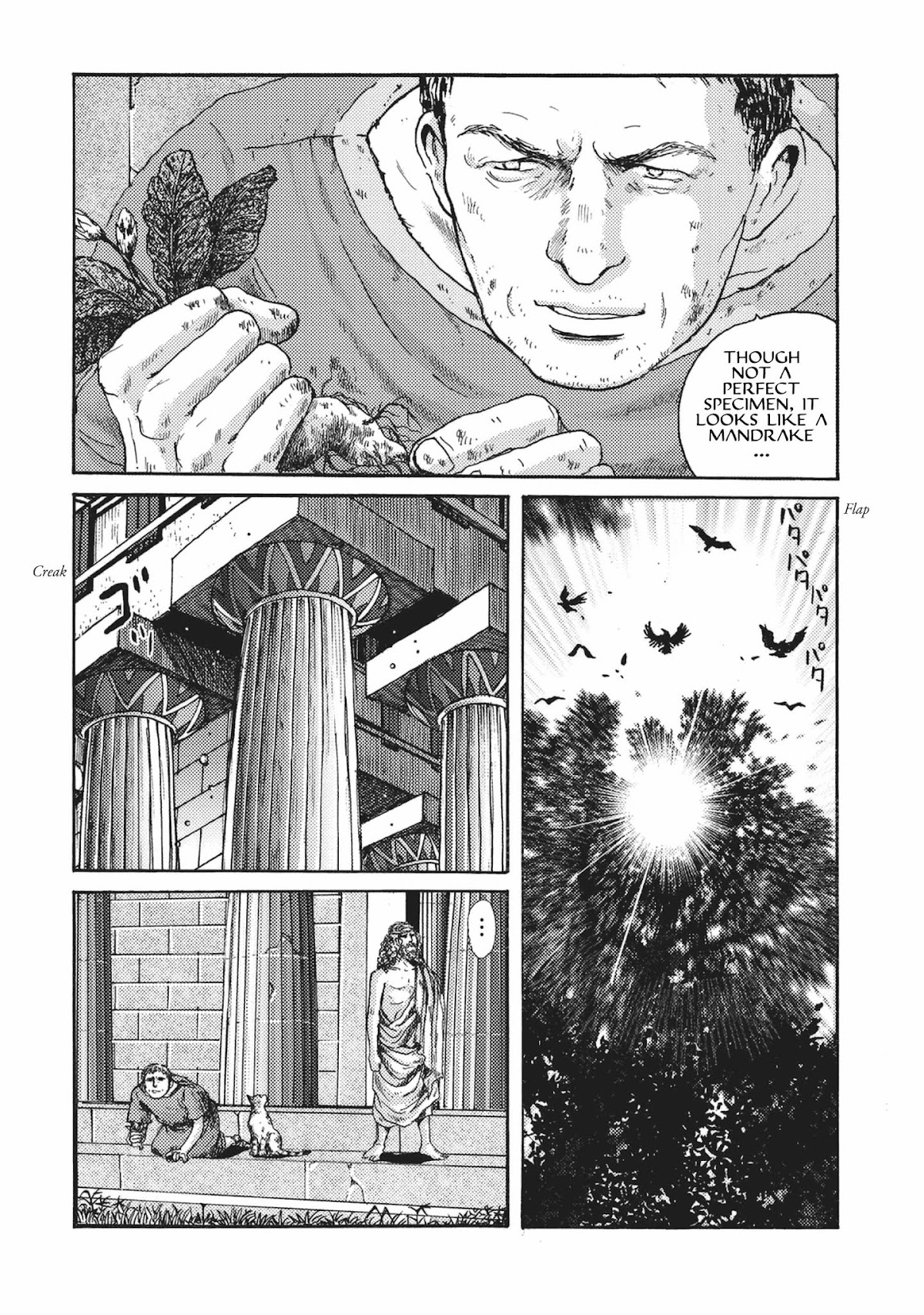 Plinivs chapter 5 page 18