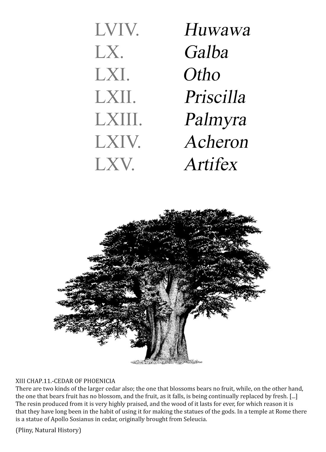 Plinivs chapter 64 page 4