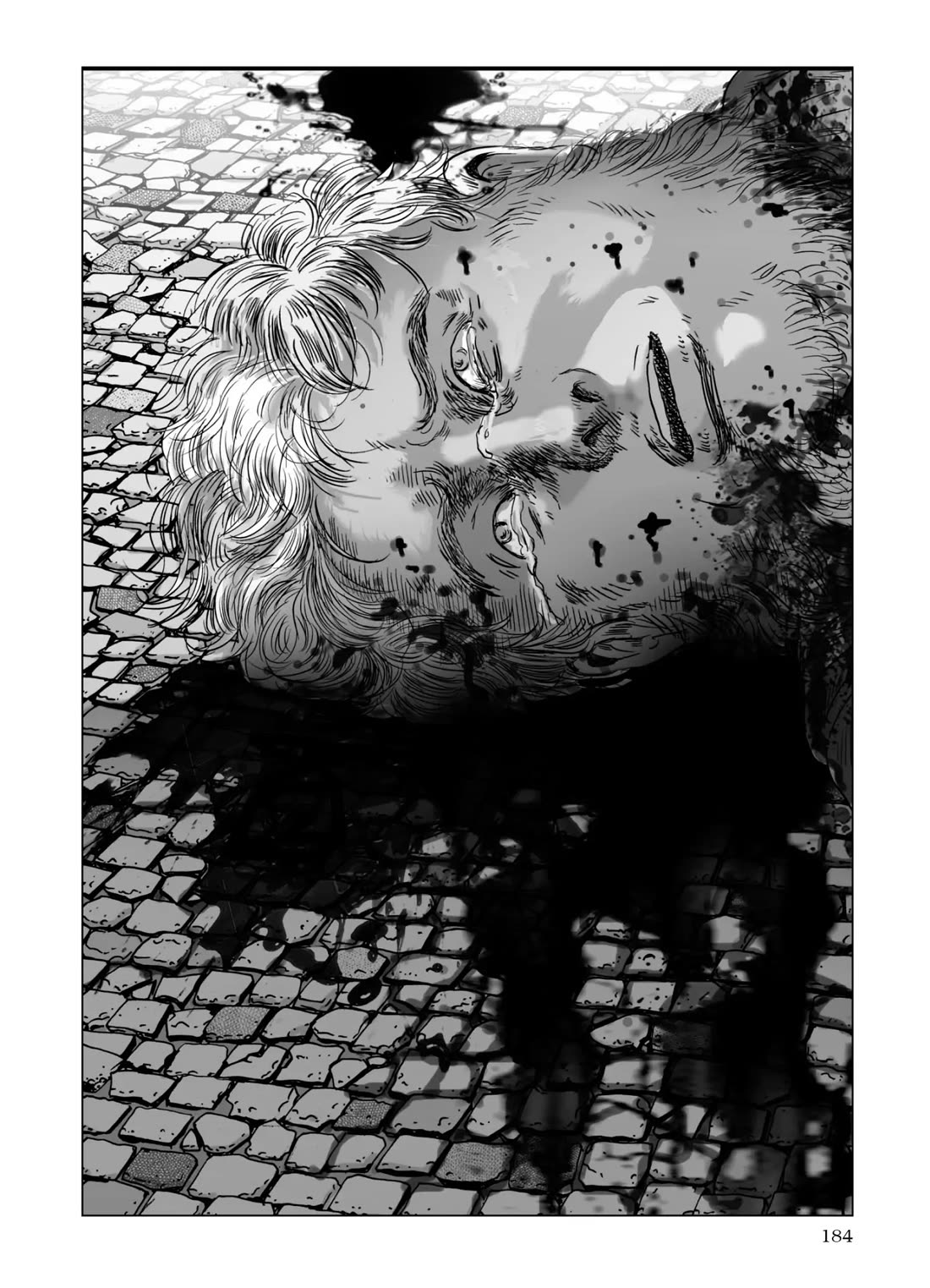 Plinivs chapter 70 page 23