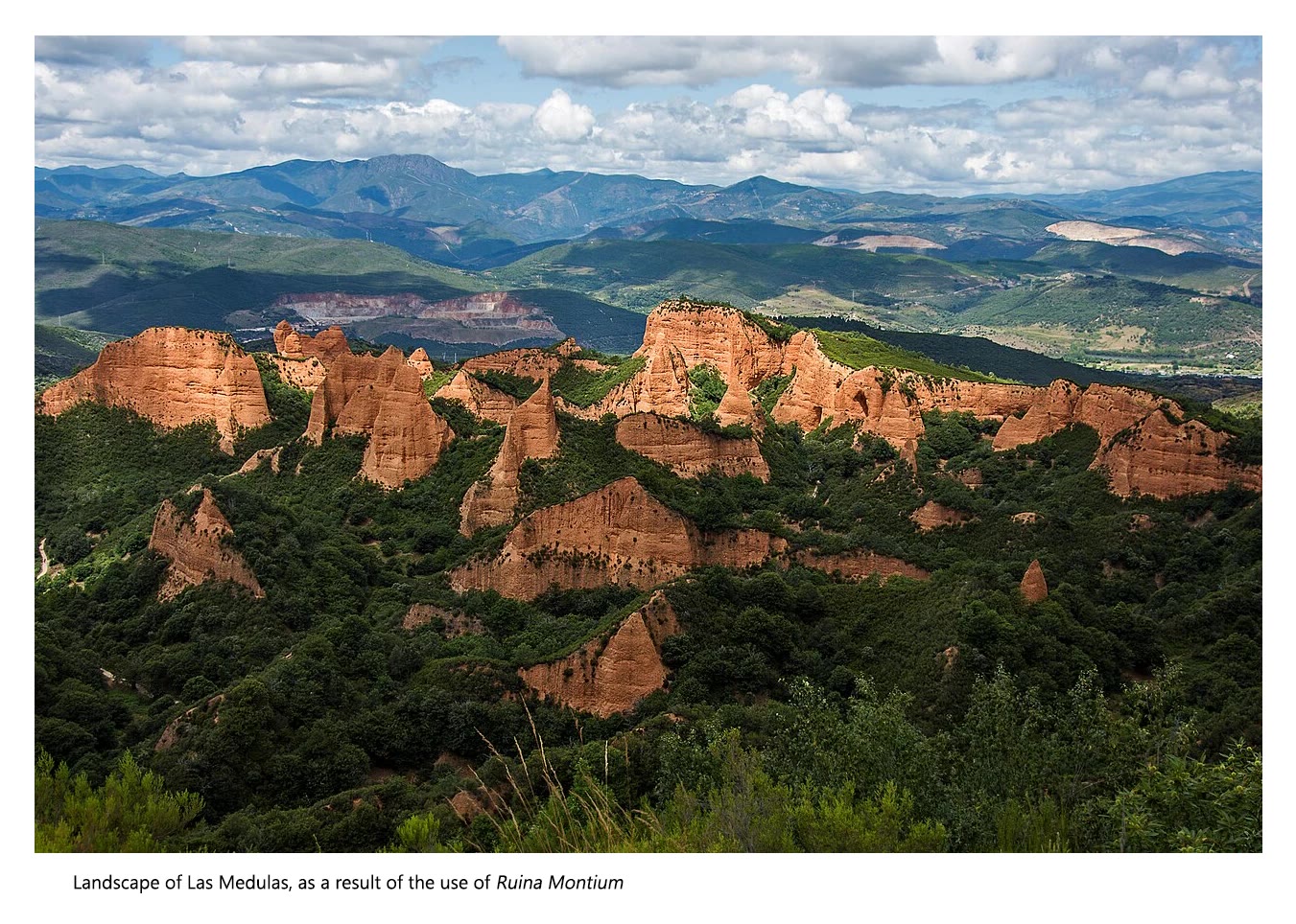 Plinivs chapter 78 page 28