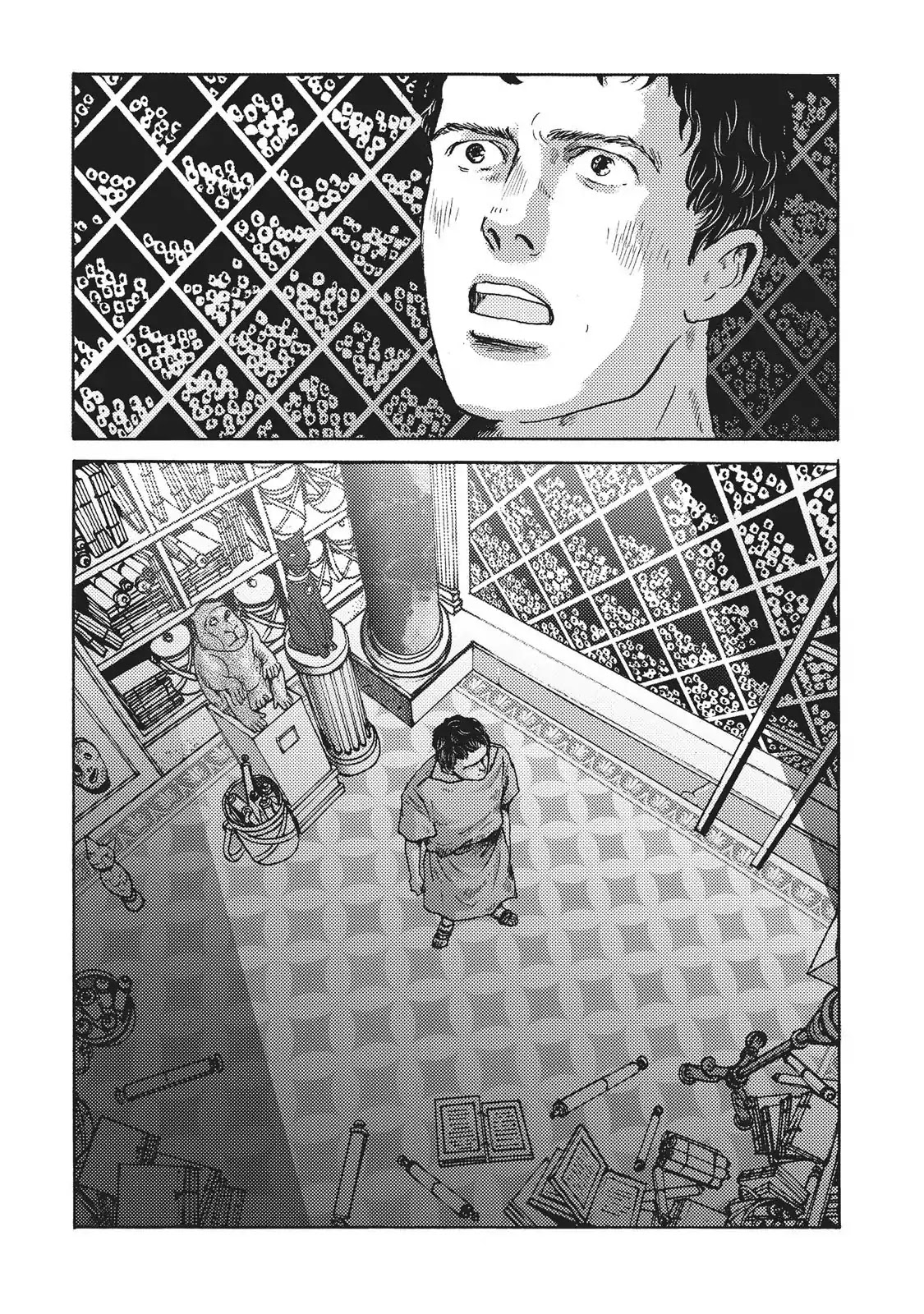 Plinivs chapter 8 page 11