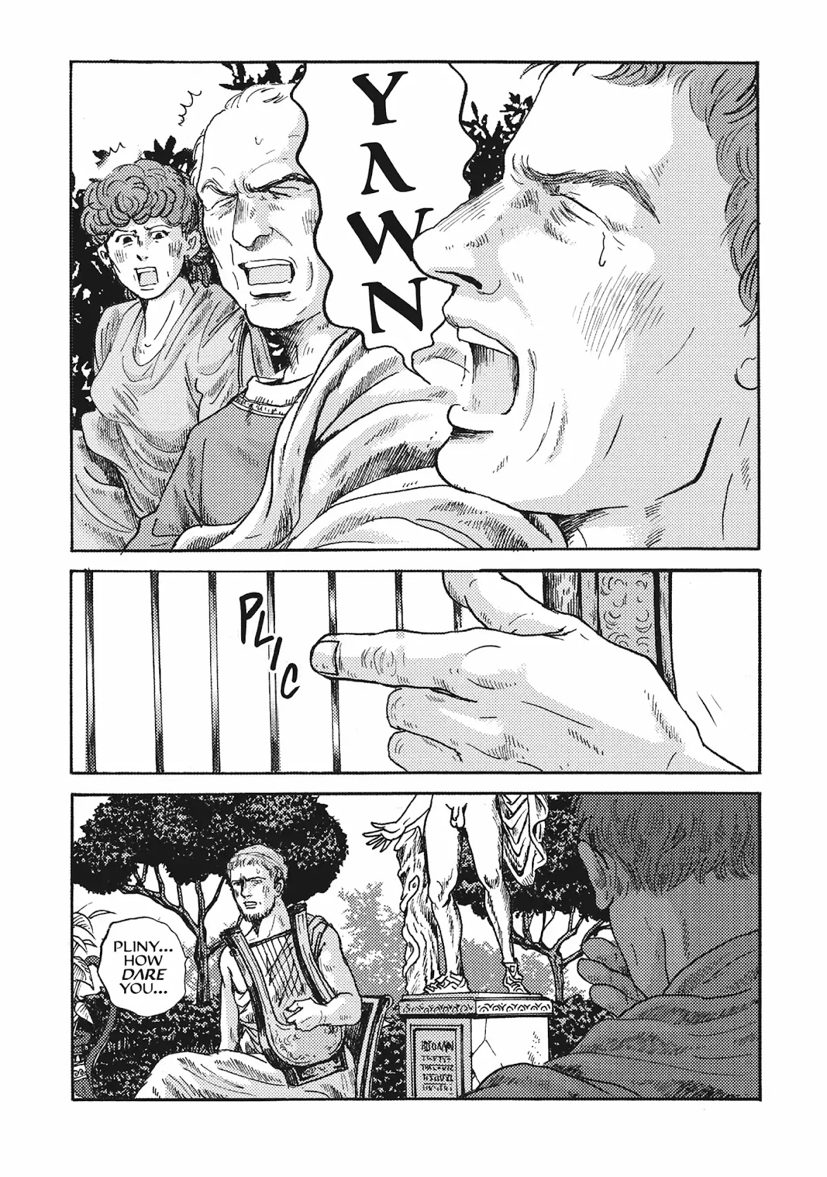 Plinivs chapter 8 page 28