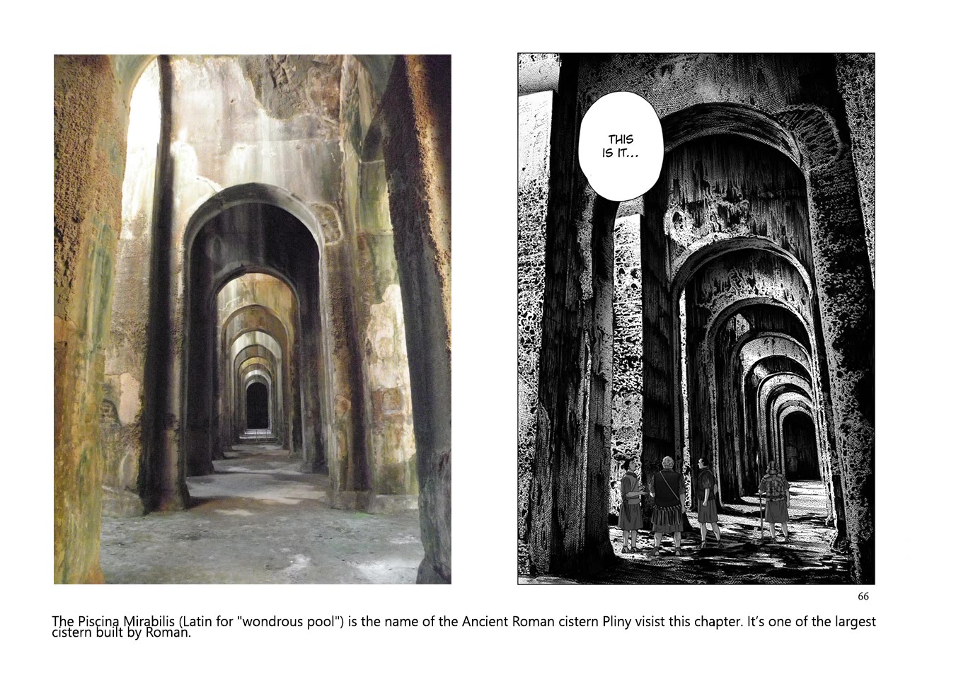 Plinivs chapter 80 page 24