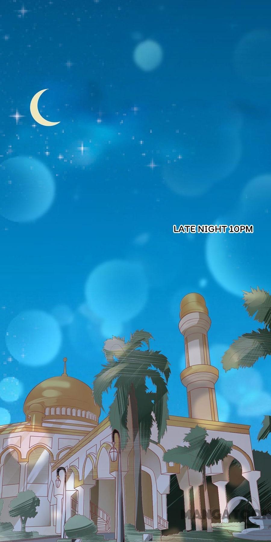 Prince's Private Baby chapter 203 page 36