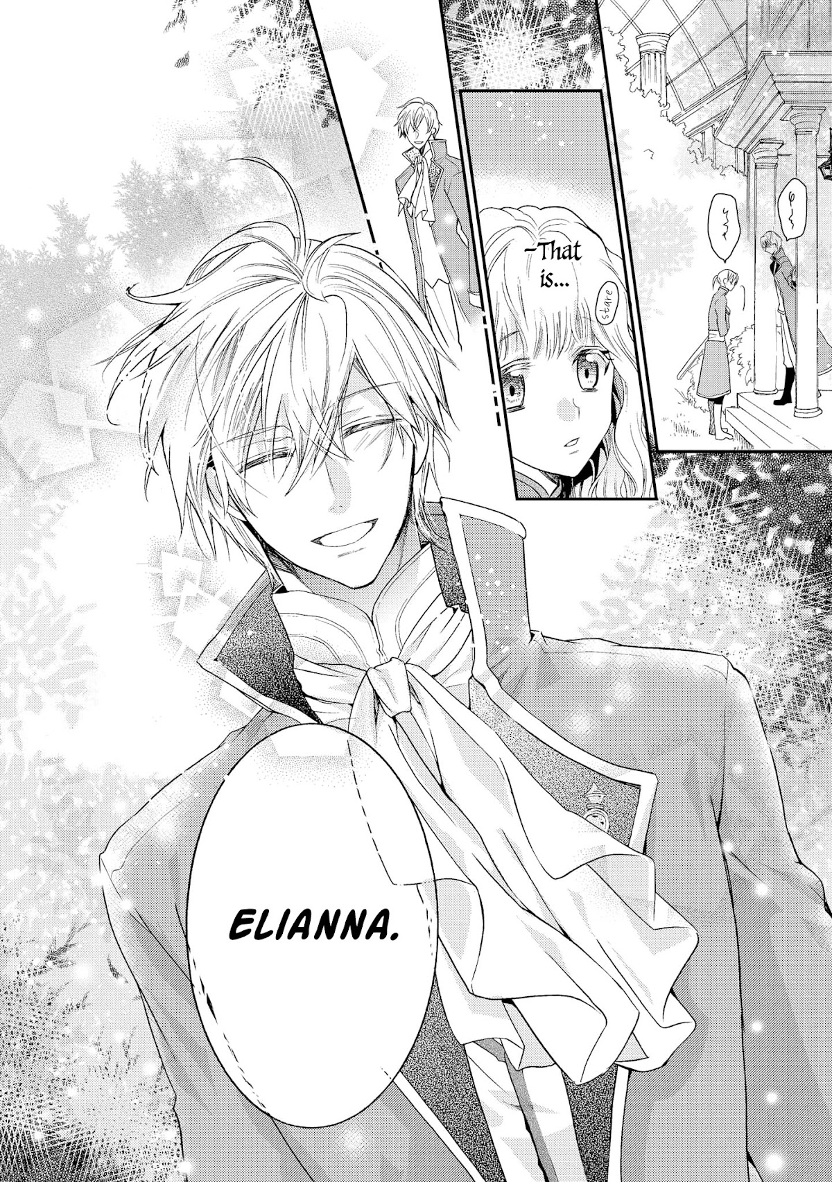 Princess Bibliophile chapter 2 page 13